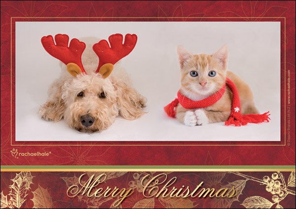 Merry Christmas (Hund/Katze)