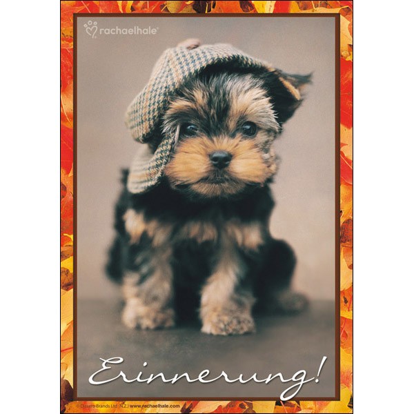 Erinnerung! (Hund)