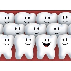 Gruppe von Zähnen