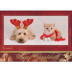Merry Christmas (Hund/Katze)