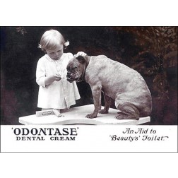 Vintage - Odontase
