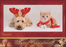 Merry Christmas (Hund/Katze)